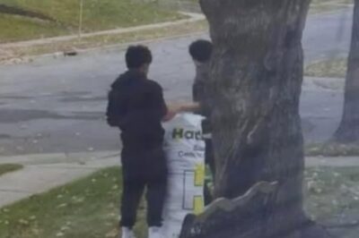 The True Value of Hard Work: A Lesson on Rewarding Effort and Integrity