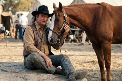 John Wayne’s Horse Sensed He Was Dying Before Anyone Else Did—Their Final Goodbye Will Break You