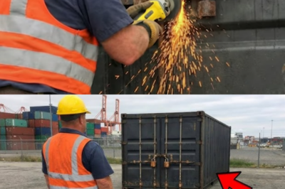 Man Bought Black Painted Container for $50, Opened it and Called His Lawyer!