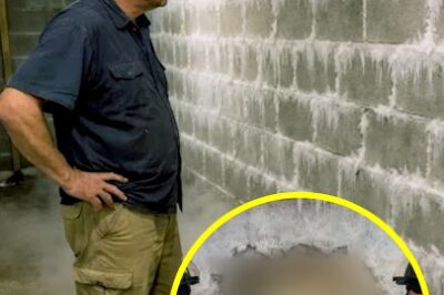 Ice Formed on Basement Wall Mid-Summer, Then They Saw the Shocking Cause…