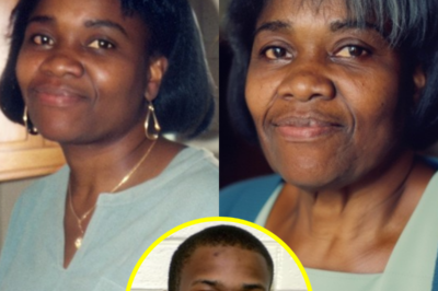 Woman Vanished in 1992 — 19 Years Later, One Unexpected Match Solved the Mystery