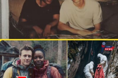 In 2000, anthropologist Dr. Evelyn Freeman mysteriously disappeared into a thick fog in the Great Smoky Mountains, leaving behind only her husband’s account. 5 Years Later, Hiker Found Her Jacket Found in Crevice
