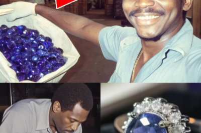 $2,8M in Uncut Sapphires Missing in 1982 — 39 Years Later, Custom Ring Matched Archived Shipment