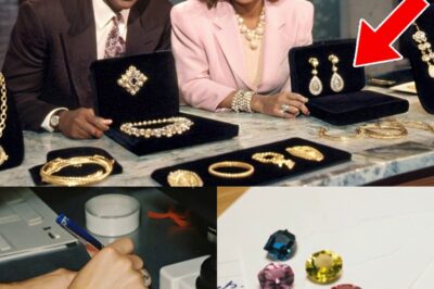 $1,4M in Gems Swapped at TV Studio in 1994 — 4 Years Later, Inventory Timestamp Exposed the Plot
