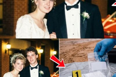 They Left Their Wedding for a Honeymoon and Vanished—36 Years Later, This Was Found