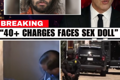 Roblox Developer Hit With 40+ CHARGES… What Investigators Found Next!