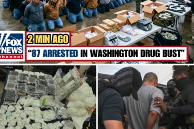 FBI Largest Drug Bust in Washington — 87 Arrested, 151KG Seized & Destroyed!