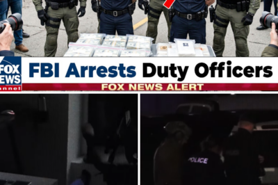 FBI & Coast Guard RAID Expose Active Duty Officers Smuggling Cocaine Through US Ports | US Military
