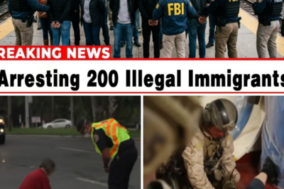 A Fatal Crash. A Sudden Raid. What FBI and DHS Found Shocked New Jersey