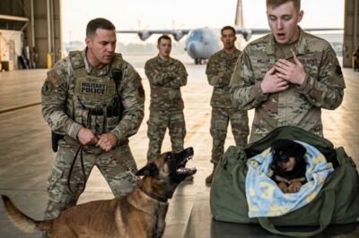 THE K9 KEPT BARKING AT THE SOLDIER’S BAG… WHAT THEY FOUND LEFT EVERYONE STUNNED