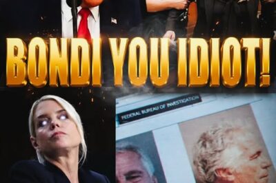 Inside the Explosive Congressional Showdown: Pam Bondi’s DOJ Under Fire Over Epstein Failures and Shocking New Witness Statements