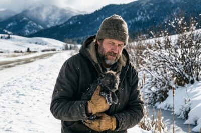 HE SAVED A TINY PUPPY — MONTHS LATER, THE VET FROZE: “THAT’S NOT A DOG”