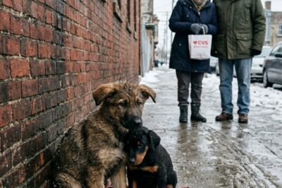 TWO FREEZING PUPPIES WERE PRESSED AGAINST A WALL—AND I WASN’T READY FOR WHAT CAME NEXT