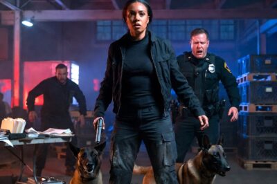 SHE WALKED HER DOGS AT DAWN. TWO COPS FOLLOWED HER. THEY HAD NO IDEA WHO THEY WERE MESSING WITH.