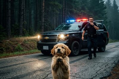 A PUPPY RAN UP TO A COP BEGGING FOR HELP—WHAT IT LED HIM TO CHANGED EVERYTHING