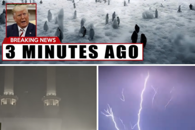 What JUST HAPPENED In KAABA in Mecca SHOCKED The World