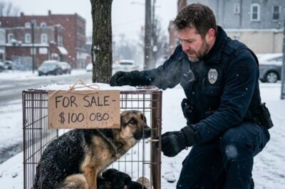 OFFICER FOUND A FREEZING MOTHER DOG CURLED AROUND HER PUPPIES—WHAT SHE DID NEXT LEFT HIM IN TEARS