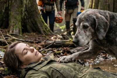 When rescuers found her, she was half-submerged, barely breathing—kept alive only by the trembling paw of an old scarred dog. What they didn’t know yet was that the coat wrapped around her chest carried a name, and a secret, that would change everything.