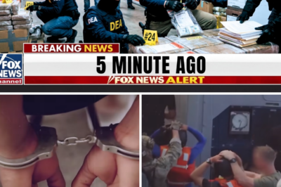 44 Arrested in Massachusetts After Federal Investigation Into Shipping Container Smuggling