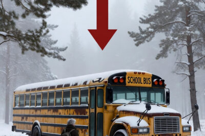 Abandoned in a Blizzard An Elderly Woman and Her Dog Built a Sanctuary Inside a Rusty Bus!