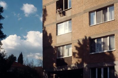 My boss, pushed me out of a third floor window and stole my 1 million dollar contract and….