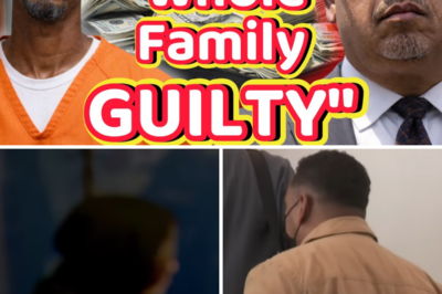 “The Family STOLE $14 MILLION” – MN FRAUD Scandal ERUPTS as ENTIRE FAMILY Pleads GUILTY