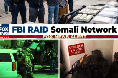 FBI & IRS RAID Somali Money Transfer Network Laundering $2.1B for Sinaloa Cartel | US MILITARY