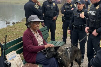 They Called Her a Threat Until the Dog Remembered Her Name