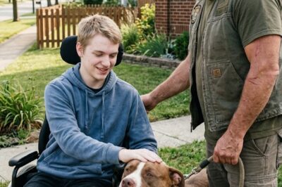 My paralyzed son hadn’t smiled in two years. Then the scary, scarred veteran next door and his huge, “dangerous” pitbull stormed into our front yard, and a miracle happened.