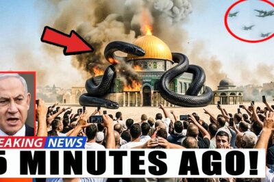 JUST NOW: The Biggest Tragedy Happening in Jerusalem! The World is Praying…