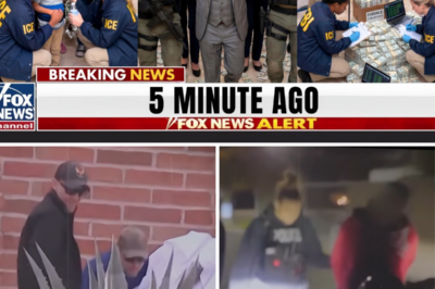 No one expected that the raid on this mansion would lead to a shocking case: Child trafficking, $2.3 billion, and the arrest of numerous officials.