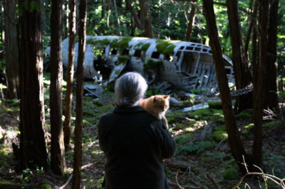 Abandoned in the Forest An Elderly Woman and Her Cat Built a Hidden Home Inside a Rusty Plane!