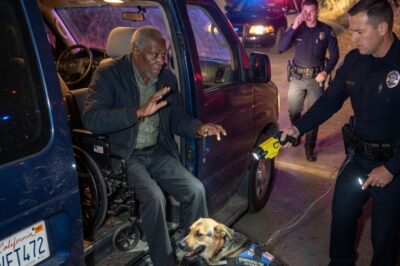 THEY PULLED OVER A BLACK VETERAN IN A WHEELCHAIR… THEN TASED HIS SERVICE DOG.