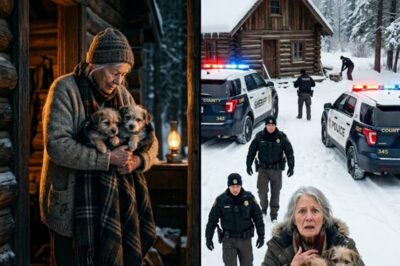 SHE RESCUED TWO FREEZING DOGS IN THE MIDDLE OF THE NIGHT — BY MORNING, HER HOUSE WAS SURROUNDED