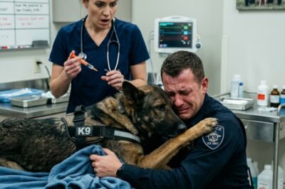 HE GAVE HIS HANDLER ONE LAST HUG… THEN THE VET SCREAMED, “STOP!”