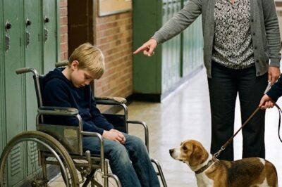 “DON’T LET THE DOG NEAR HIM,” THE TEACHER WARNED, POINTING AT THE BOY SLUMPED IN THE WHEELCHAIR. “HE DOESN’T UNDERSTAND ANYTHING. HE’S JUST… FURNITURE. KEEP THE ANIMAL AWAY FROM THE MESS.”