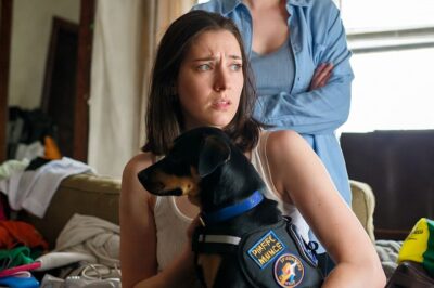 My Sister Stole My Daughter’s Service Dog and Sold It for IVF Money