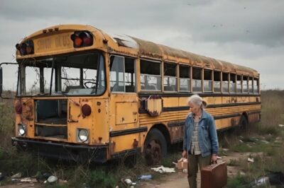 At 75, She Lost Everything And Slept In A Forgotten Bus -What She Found Inside Changed Everything!