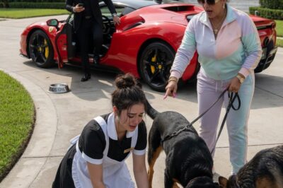 She Was Told To Eat With The Dogs—But What Pulled Into The Driveway Minutes Later Changed Everything Forever