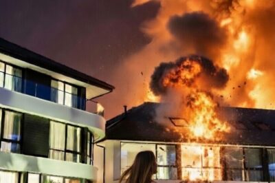 She Saved His Life—Now the Wheelchair-Bound Mafia Boss Demands a Contract Marriage